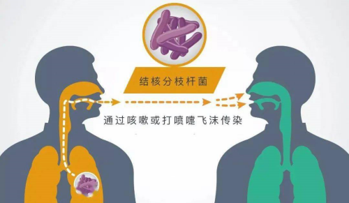 结核通过飞沫传播_副本.png