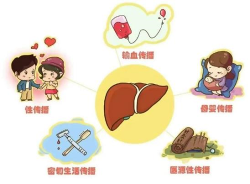 病毒性肝炎的传播途径_副本.png