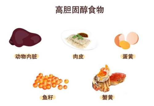 3、高胆固醇食物_副本.png